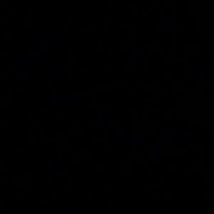 Meet your Posher, Starla